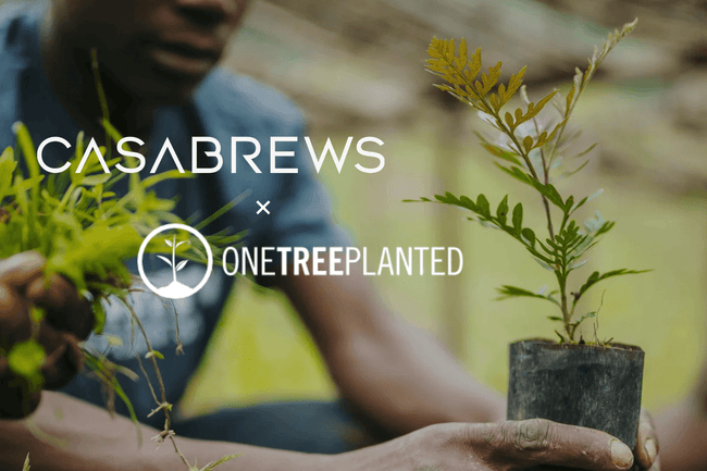 Casabrews Takes a Green Step Forward: Our Commitment to a Sustainable Future