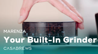 Adjust Built-in Conical Burr Grinder